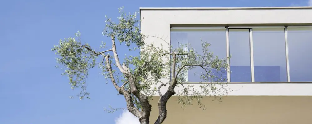 Villa Sphere Ovest Mit Baum Im Hotel Eden Reserve